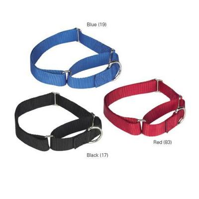 GG Nylon Martingale Collar 18-26 In Red