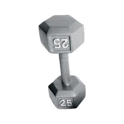 Cap Barbell Grey Solid Hex Dumbbell SDG Weight: 120 lbs