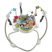 Fisher-Price Discover n' Grow Jumperoo