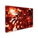 Trademark Fine Art "Welding Burns" by Philippe Sainte-Laudy Photographic Print on Wrapped Canvas 12.0 H x 19.0 W x 2.0 D in redCanvas | Wayfair