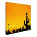 Trademark Fine Art "Saguaro Sunset" by Roderick Stevens Graphic Art on Wrapped Canvas in Black | 35 H x 35 W x 2 D in | Wayfair RS912-C3535GG