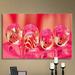 ArtWall 'Zebra7a' by Lindsey Janich Graphic Art on Wrapped Canvas Canvas, Glass in Pink | 12 H x 14 W x 2 D in | Wayfair 0jan061-12x14-w