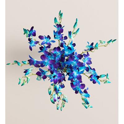 1-800-Flowers Flower Delivery Ocean Breeze Orchids 10 Stems, Bouquet Only | Happiness Delivered To Their Door