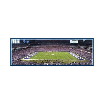 MasterPieces Indianapolis Colts - 1000pc Panoramic Jigsaw Puzzle