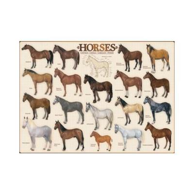 Eurographics Horses - 1000pc Jigsaw Puzzle