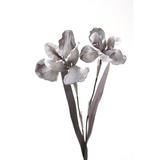 Distinctive Designs DIY Flower Double Iris, Synthetic in Gray | 33 H x 3.5 W x 3.5 D in | Wayfair DW-876-GYDPGY