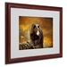 Trademark Fine Art "Bear Went Over the Mountain" by Lois Bryan Framed Photographic Print Canvas | 16 H x 20 W x 0.5 D in | Wayfair LBr027-W1620MF