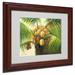 Trademark Fine Art 'Coconut Palm II' by Victor Giton Framed Painting Print Canvas in Green | 11 H x 14 W x 0.5 D in | Wayfair MA0437-W1114MF