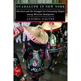 Guadalupe in New York: Devotion and the Struggle for Citizenship Rights Among Mexican Immigrants (Paperback)