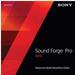 Sony Creative Software Sfm2099esd Sound