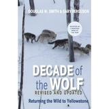 Decade of the Wolf Revised and Updated : Returning The Wild To Yellowstone (Paperback)