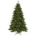 Vickerman 31061 - 5.5' x 43" Artificial Camdon Fir 300 Warm White Italian LED Lights Christmas Tree (A860956LED)