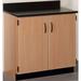 Stevens ID Systems Science 2 Compartment Classroom Cabinet w/ Doors Wood in Brown | 35 H x 36 W x 23 D in | Wayfair 81129 J36-058