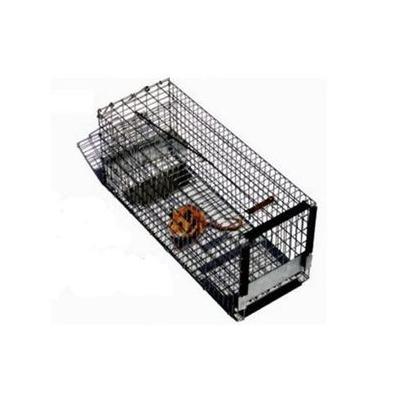 Pied Piper Small Rodent Live Trap 6" X 6" X 16"