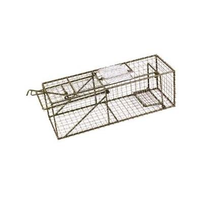 201 Hd Animal Trap 12x12x36