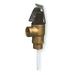 CASH ACME FVX-3C T and P Relief Valve,FNPT x FNPT