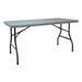 ZORO SELECT 12F624 Rectangle Folding Table, 30" W, 60" L, 29" H, Blow Molded