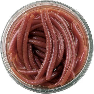 Berkley Gulp Alive Angle Worm (GAJAWNAT)