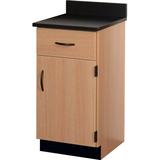 Stevens ID Systems Science 2 Compartments Classroom Cabinet w/ 1 Door Wood in Brown | 35 H x 18 W x 23 D in | Wayfair 81435 J36-027