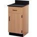 Stevens ID Systems Science 2 Compartments Classroom Cabinet w/ 1 Door Wood in Brown | 35 H x 18 W x 23 D in | Wayfair 81435 J36-073