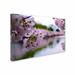 Trademark Fine Art "Cherry Blossoms 2014-2" by CATeyes Photographic Print on Wrapped Canvas in White | 30 H x 47 W x 2 D in | Wayfair