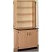 Stevens ID Systems Science 2 Door Storage Cabinet | 84 H x 36 W x 23 D in | Wayfair 84200 J84 21-073-04