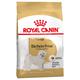 1,5 kg Royal Canin Bichon Frise Adult Hundefutter trocken