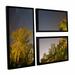 ArtWall Star Trails by Cody York 3 Piece Framed Photographic Print on Canvas Set Canvas in Green | 24 H x 36 W x 2 D in | Wayfair 0yor056g2436f