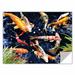 ArtWall Koi by George Zucconi Removable Wall Decal Metal in Blue/Brown/Orange | 24 H x 32 W in | Wayfair 0zuc005a2432p