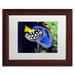 Trademark Fine Art 'Colorful Tropical Fish' by Kurt Shaffer Framed Photographic Print Canvas, Wood | 11 H x 14 W x 0.5 D in | Wayfair KS130-W1114MF