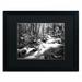 Trademark Fine Art 'Yosemite National Park - California-I' by David Ayash Framed Photographic Print Canvas in Black/Green/White | Wayfair