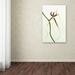 Trademark Fine Art 'Spider Orchid' by Kurt Shaffer Photographic Print on Wrapped Canvas Canvas | 19 H x 12 W x 2 D in | Wayfair KS116-C1219GG