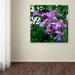 Trademark Fine Art 'Postman Butterfly on Orchid' by Kurt Shaffer Photographic Print on Wrapped Canvas Canvas | 14 H x 14 W x 2 D in | Wayfair