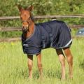 Amigo Foal Turnout Blanket - 48 - Medium (200g) - Navy/Electric Blue & Navy - Smartpak