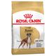 2x12kg Boxer Adult Royal Canin Dry Dog Food