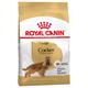 2x12kg Cocker Spaniel Adult Royal Canin Dry Dog Food