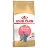 Royal Canin British Shorthair Kitten Crocchette per gatto - 10 kg