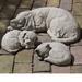 Campania International Reclining Dog Statue Concrete, Copper in Brown | 6 H x 19 W x 8.5 D in | Wayfair A-254-TR