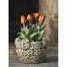 Campania International Cast Stone Pot Planter Concrete, Copper in Green | 9 H x 12.25 W x 12.25 D in | Wayfair P-601-EM