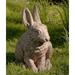 Campania International Hare Seated Ears Up Statue Concrete, Copper in Gray | 12.5 H x 9 W x 7 D in | Wayfair A-242-GS