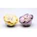 Cosmos Gifts Pansy Salt & Pepper Set Ceramic in Indigo/Yellow | 1.88 H x 2.5 W in | Wayfair 20734