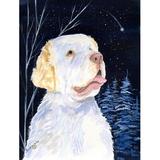 Caroline's Treasures Starry Night Clumber Spaniel 2-Sided Polyester 40 x 28 in. House Flag in Black | 40 H x 28 W in | Wayfair SS8356CHF