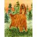 Caroline's Treasures Irish Setter 2-Sided Polyester 40 x 28 in. House Flag in Green/Orange | 40 H x 28 W in | Wayfair SS8625CHF