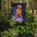 Caroline's Treasures Starry Night Chesapeake Bay Retriever 2-Sided Garden Flag, Polyester in Blue | 15 H x 11 W in | Wayfair SS8355GF