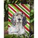Caroline's Treasures English Setter Candy Cane Holiday Christmas 2-Sided Garden Flag, Polyester in Gray/Green | 15 H x 11 W in | Wayfair LH9232GF