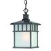 Dolan Designs Barton 12 Inch Tall 1 Light Outdoor Hanging Lantern - 9113-34