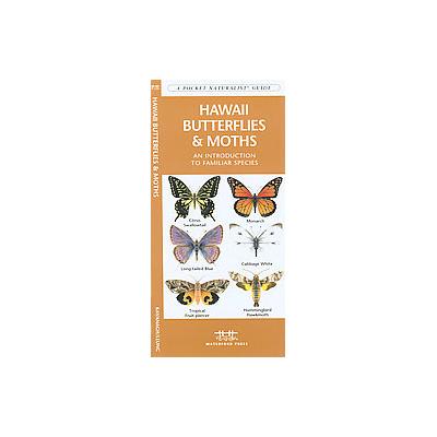 Hawaii Butterflies & Moths by James Kavanagh (Paperback - Waterford Pr)