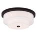 Livex Lighting - Meridian - 4 Light Flush Mount in Modern Style - 17.75 Inches