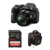 Panasonic Lumix DMC-FZ300 Digital Camera with Accessories Kit DMC-FZ300K