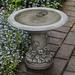 Campania International Spring Meadow Birdbath Concrete, Copper in Brown | 12.5 H x 14.5 W x 14.5 D in | Wayfair B-169-BR